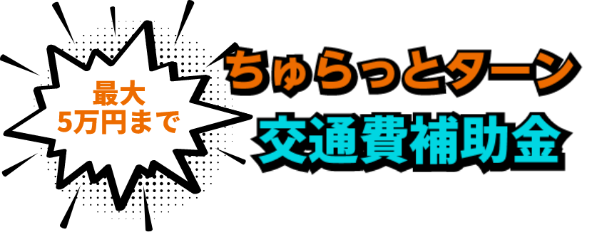 【最大5万円まで】ちゅらっとターン交通費補助金